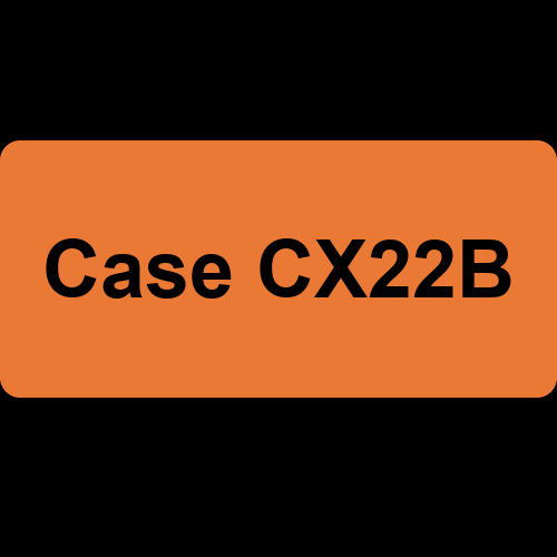 Case CX22B